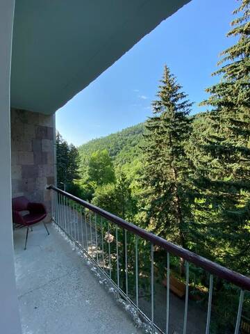 Фото номера Двухместный номер Делюкс с 1 кроватью Отель Lori Resort г. Ванадзор 2